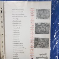 กุ๊กนิตย์