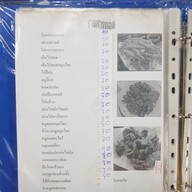 กุ๊กนิตย์