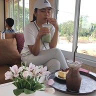 ดริปริมนา