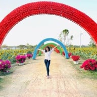 สะดืออีสาน