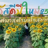 สะดืออีสาน