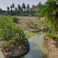 บรรยากาศ idyll Coffee & Garden