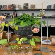 กำแพงแก้ว บาย เชฟตูตู