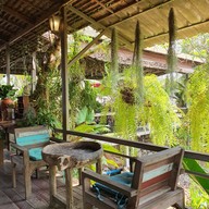 บรรยากาศ idyll Coffee & Garden