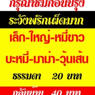 เมนู โคตรกะเพรา &ก๋วยเตี๋ยวเรือ ป.ประทีป พุทธมณฑลสาย3