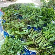 โกดำขนมจีน บ้านในสวน