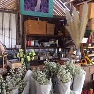 บรรยากาศ I love flower Farm