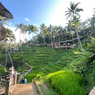 Tegalalang Rice Terrace
