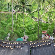 Tegalalang Rice Terrace