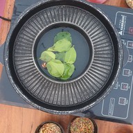 จุ่มโจรบุฟเฟ่ต์