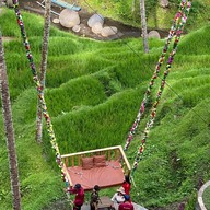 Tegalalang Rice Terrace