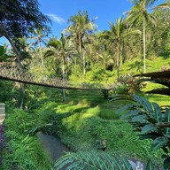 Tegalalang Rice Terrace