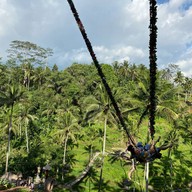 Tegalalang Rice Terrace