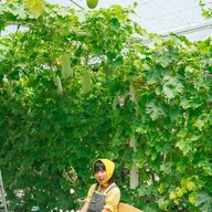 บรรยากาศ บางหว้าเมล่อน