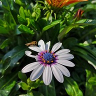 สถานีเกษตรหลวงอินทนนท์