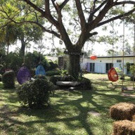 แกะดำฉำฉา