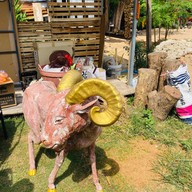 Black Goat Farm & Cafe