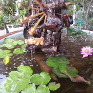 บ้านอนงค์พักรายวัน/รายเดือน