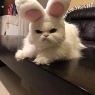 ขนมจีนน้ำยาปู คุณนุช