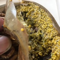 ยำแสนแซ่บ อัมพวา