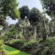 บรรยากาศ Poomjai Garden