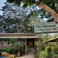 Giant Tree Cafe Khaoyai