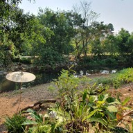 Giant Tree Cafe Khaoyai