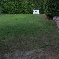 บรรยากาศ The Running Dog Café