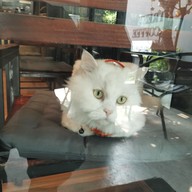 Street Coffee รังสิต