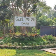 Giant Tree Cafe Khaoyai