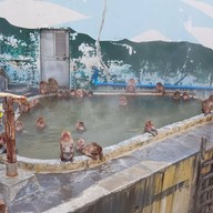 Hakodate Tropical Garden