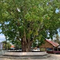 วัดพรหมโลก