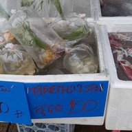 ตลาดกลางเพื่อเกษตรกร