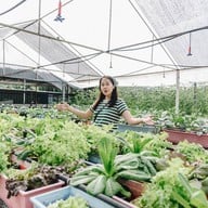 บรรยากาศ บางหว้าเมล่อน