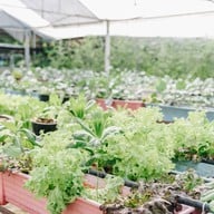 บรรยากาศ บางหว้าเมล่อน