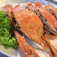 หอยป้ายแดง 2 (สามกอง) สามกอง