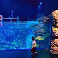 Aquaria Phuket