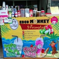 CocoMonkey by ปั่นเตะปาก