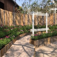 บรรยากาศ ฉำฉา(Chamcha) market