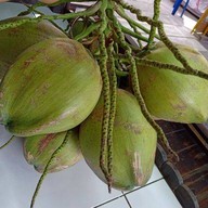 น้ำปั่นเนื้อทอง