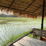 ก๋างโต้งข้าวหอม