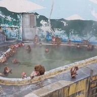 Hakodate Tropical Garden