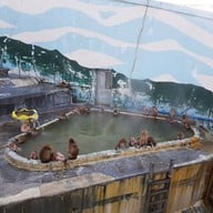 Hakodate Tropical Garden