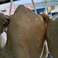 แป๊ะข้าวมันไก่ไหหลำ