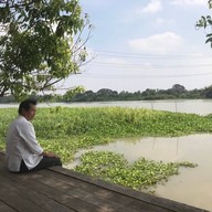 บรรยากาศ นาทิพย์เกษม