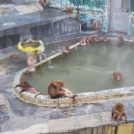 Hakodate Tropical Garden