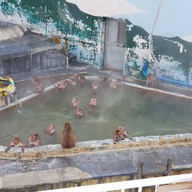 Hakodate Tropical Garden