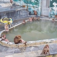 Hakodate Tropical Garden