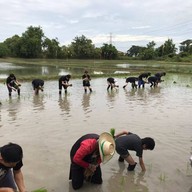 บรรยากาศ นาทิพย์เกษม