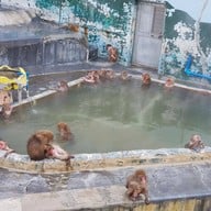 Hakodate Tropical Garden